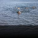 Comen Cup 2009 027